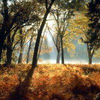 www.dmzwarez.info-Natures-0003.jpg