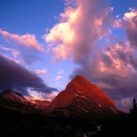www.dmzwarez.info-Natures-0010.jpg
