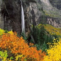 www.dmzwarez.info-Natures-0013.jpg
