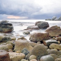 www.dmzwarez.info-Natures-0033.jpg